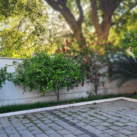 דוברובניק Apartments Villa Alba מראה חיצוני תמונה