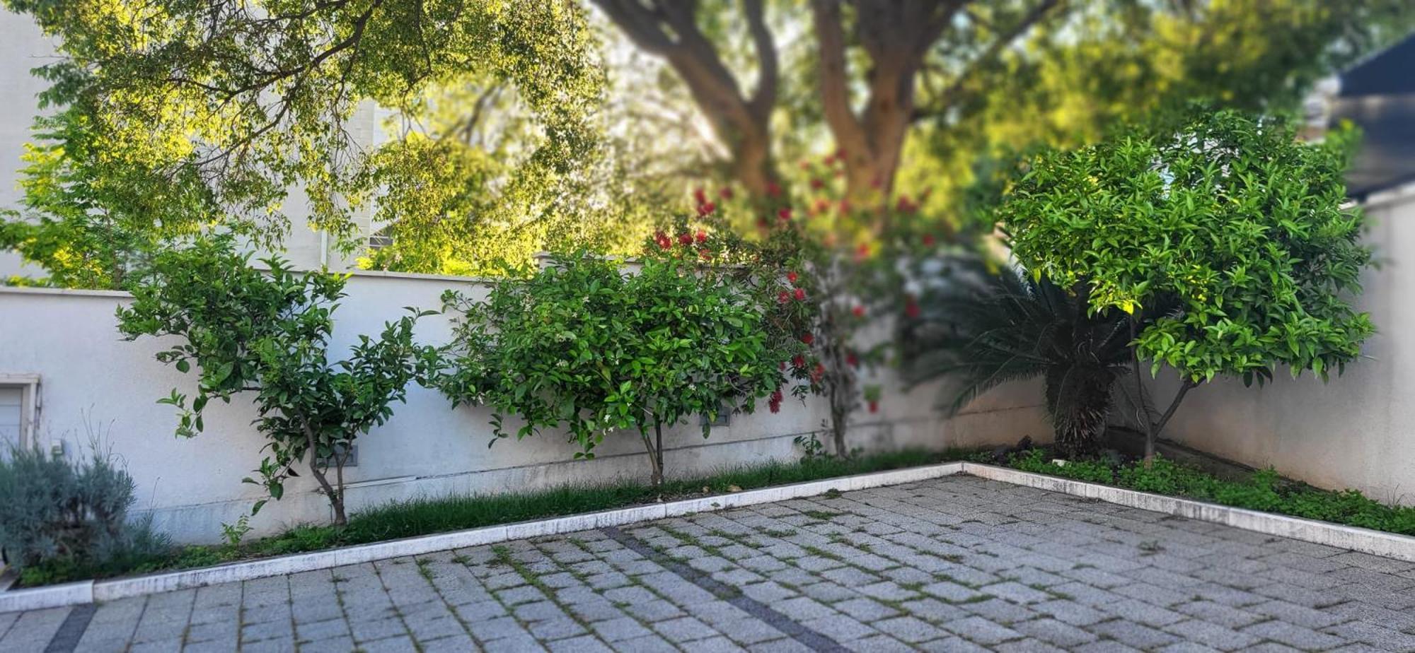 דוברובניק Apartments Villa Alba מראה חיצוני תמונה