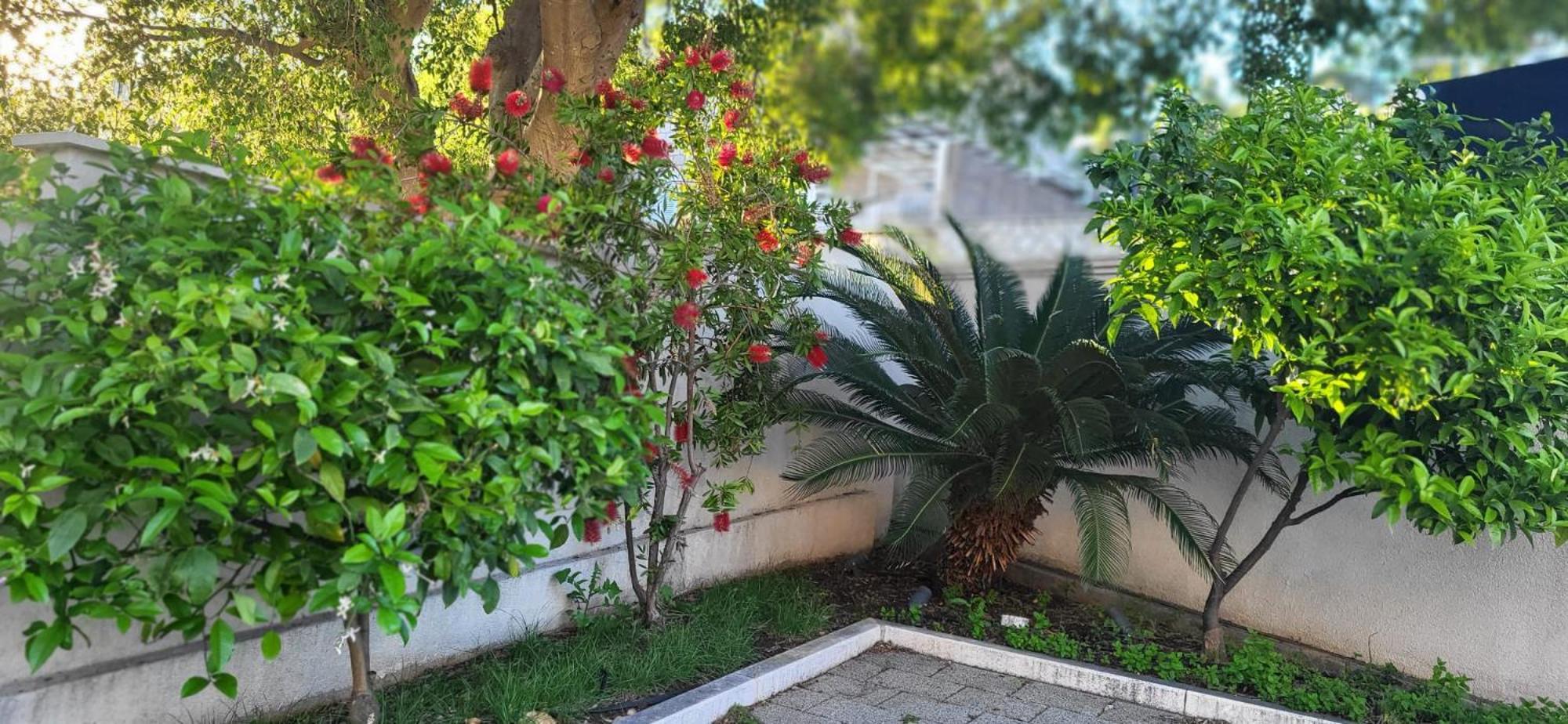 דוברובניק Apartments Villa Alba מראה חיצוני תמונה